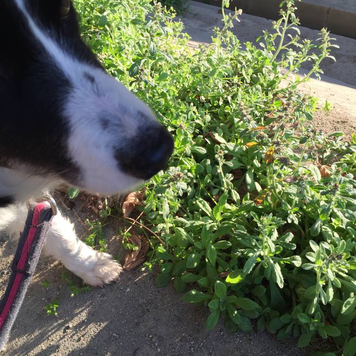 63cdcf0b 307b 4bff b7d6 62bb4f56e5ff 1552606320458