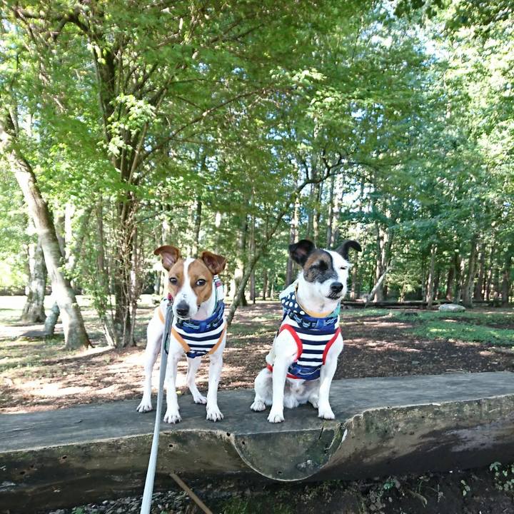 63ce18f5 64d4 48e5 8be1 e8d335c90d6d 1535325881081