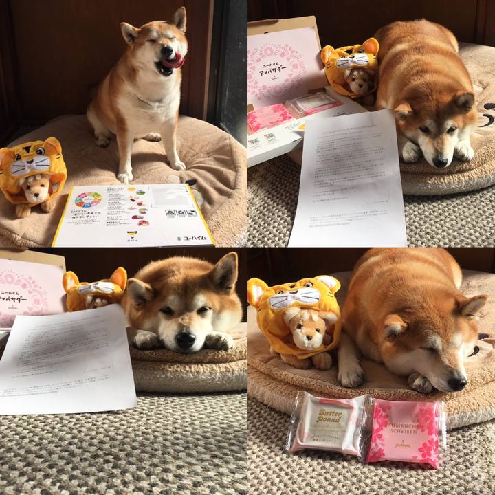 63ce28b4 3686 4465 9df8 bd8d9eb3321f 1645768101357