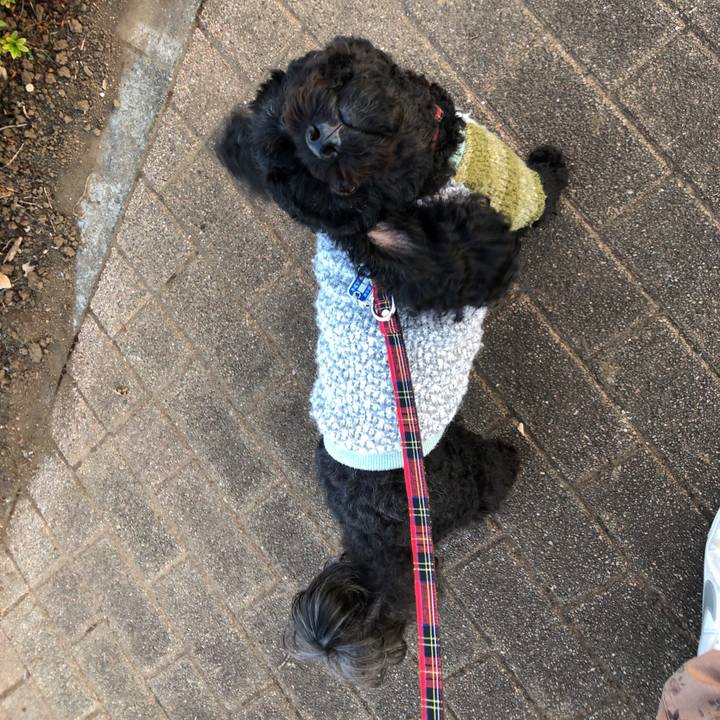 63ce7d1a 1380 451b 8ae9 a8087b550b65 1541318850357