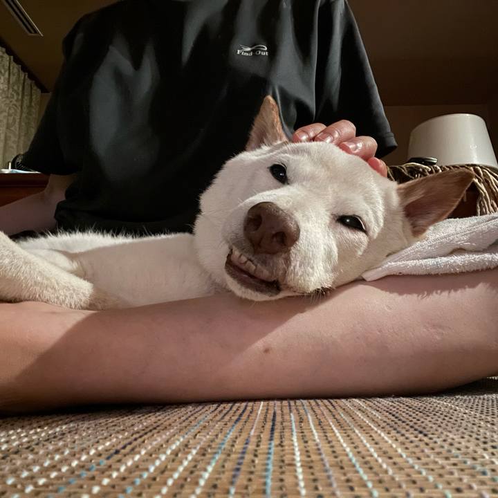 63cee2e6 51c2 4ca8 9d71 db7e552ee23b 1660316073515