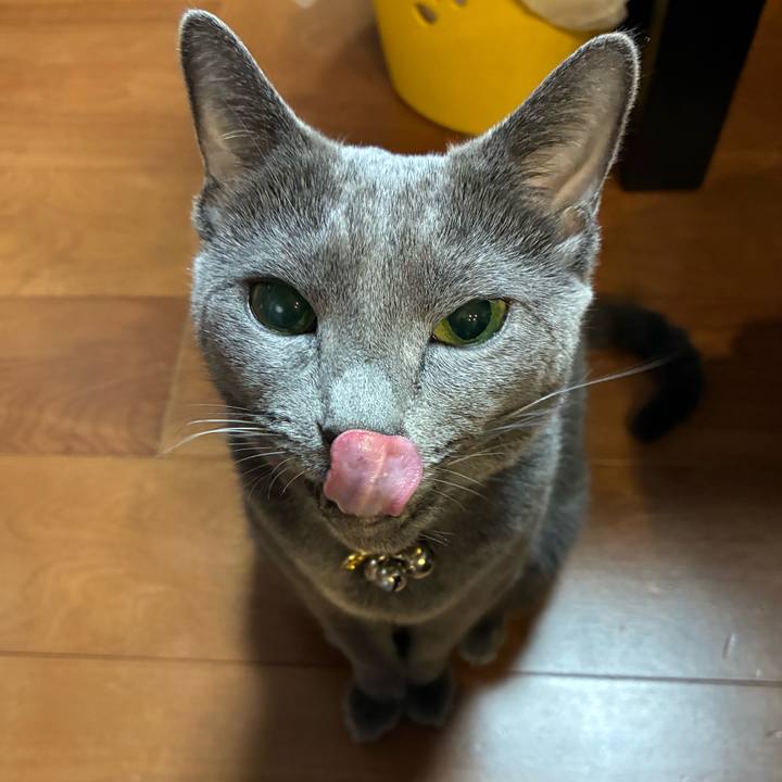 63cefa25 d42a 4bd2 92a9 52d3e44b75e3 1763357302736