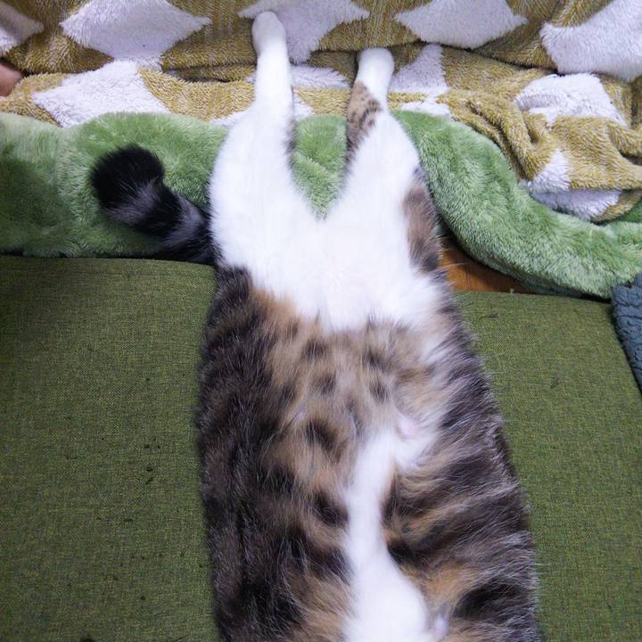 63cf19f7 1e4e 44d6 b7ec e4f6c3588cb0 1647325998152