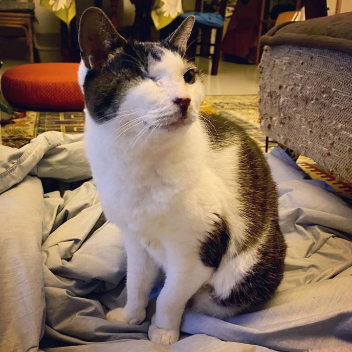 63cf2f9f 64c7 4564 a9eb d4b30f9407ef 1614077555450