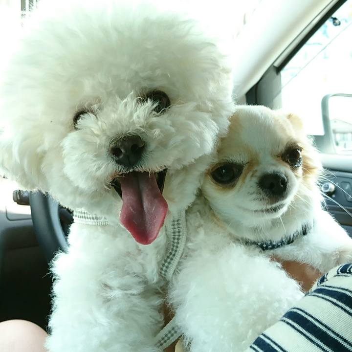 63cf3476 3d9d 4e7b 801c 2e4bfdfc4d80 1533859716013