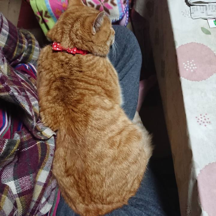 63cfa80d 8b37 4d58 a96d 6d7f71e06079 1578257410263