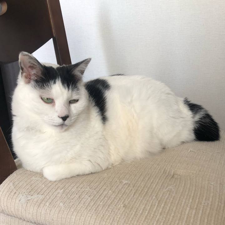 63cfb459 00c0 4eae b29a 905db52b80bd 1585885325669