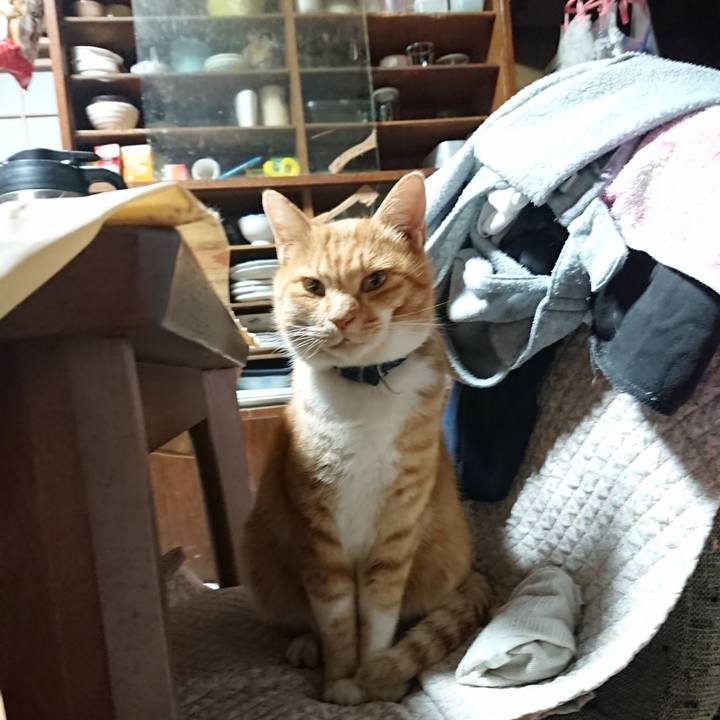 63cfc961 4e0b 4381 b665 69add658bf37 1606249890123