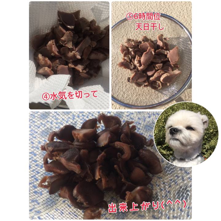 63cfdd11 961c 4e63 8c9f 5a0ba1c7fd5c 1518011441174