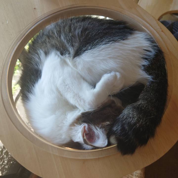 63cfe4b2 d100 4873 93b9 e3fc60421d40 1728863316749