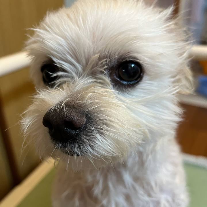 63d004ea 22a4 45db aab3 ec9f0f244454 1657089201975