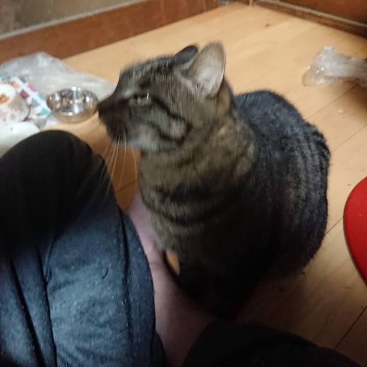 63d016ff c9de 429a b4c7 834c31cc9819 1636722228849