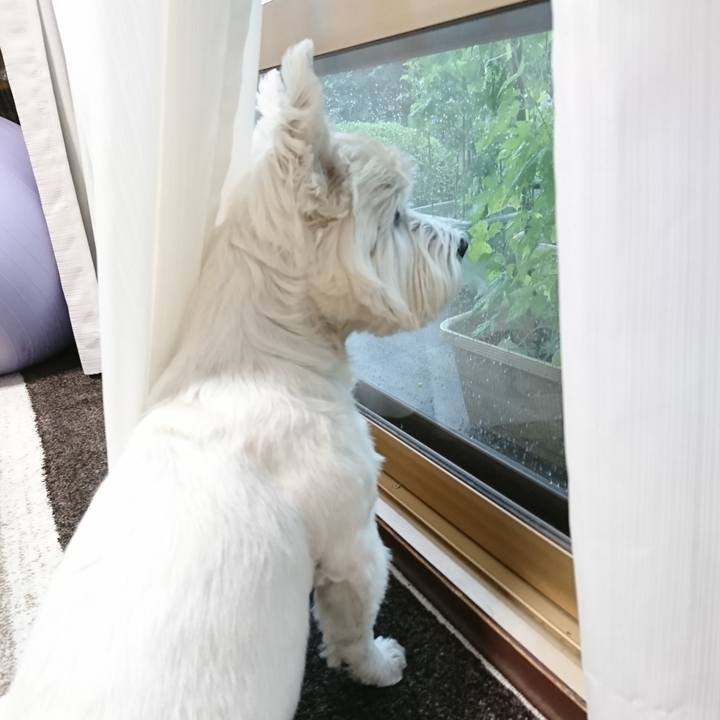 63d02b1b 734a 4542 ba93 422ce33f14bf 1536030662274