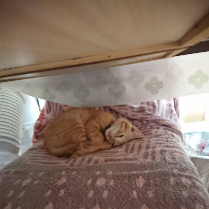 63d09202 6e4c 47f4 821c ffffc3a76880 1630301722306