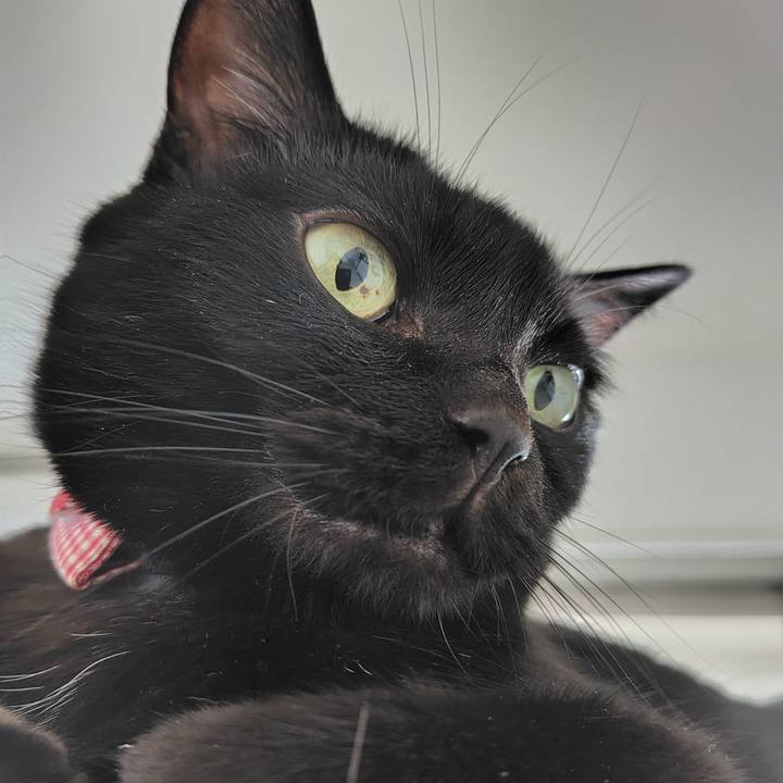 63d095ef 9be0 4bc9 aecc 0fe954dcb089 1725575725200