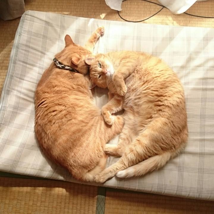 63d0ba23 34e6 4239 990a 02b4fe9e29d9 1536380040599