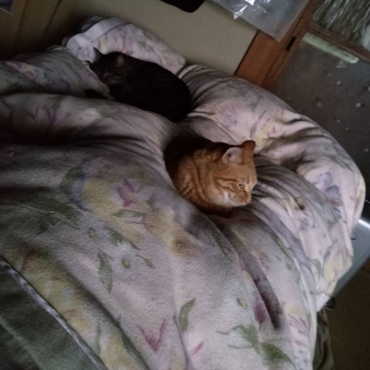 63d0d7d5 bdf9 452c a14d 5d76e1be53c8 1696459449911