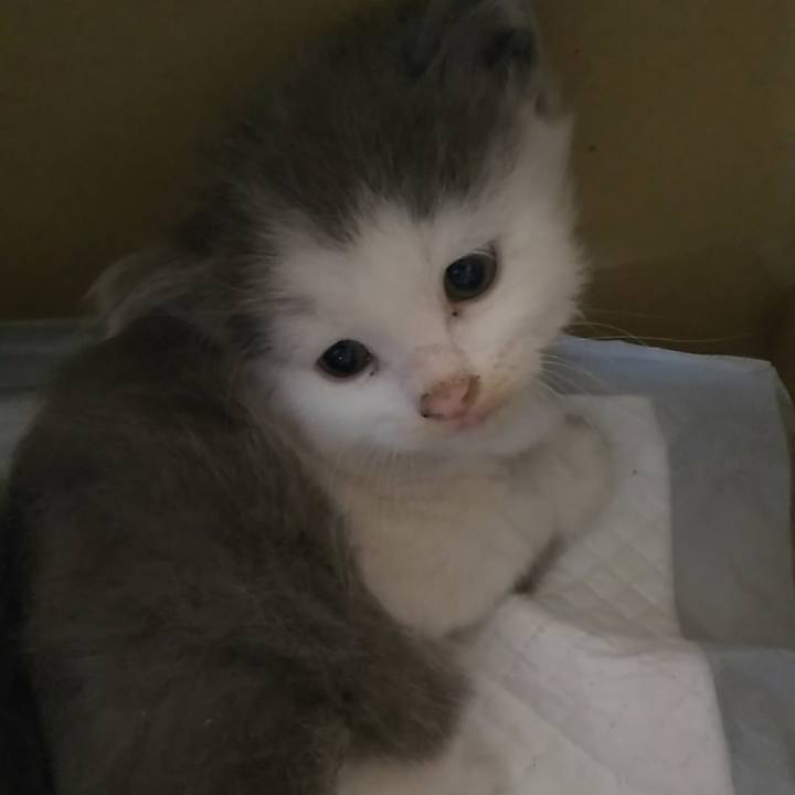 63d0e962 cc2e 45ab 80d7 39c2693b9c74 1558264308417