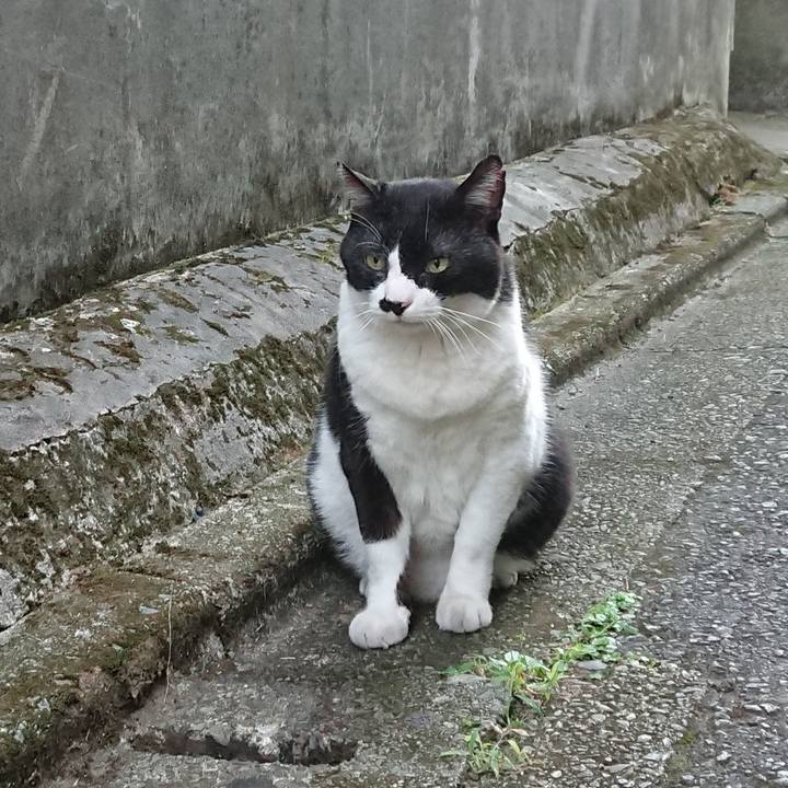 63d13429 03ee 459d b1d0 680207f4034d 1663317165225