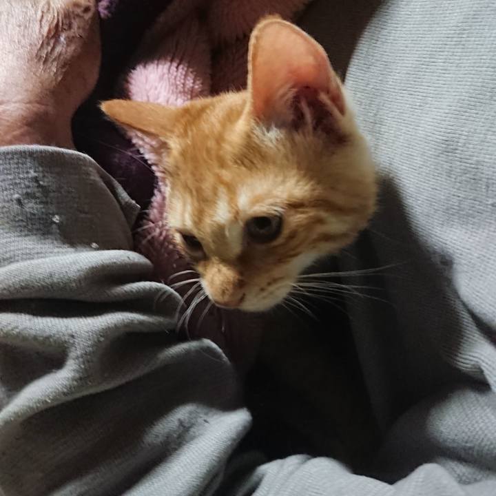 63d14307 367f 44d1 81a3 325572e2fd3f 1633724480723