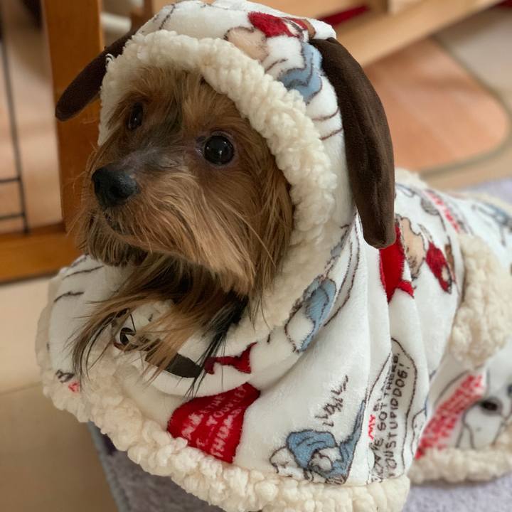 63d14e91 8b2b 4550 b330 6602e23f4772 1545178167877