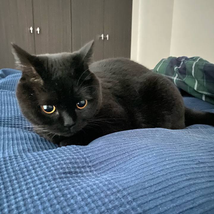 63d1749e 5085 4e78 a4ad efe79c38abd4 1636149564888