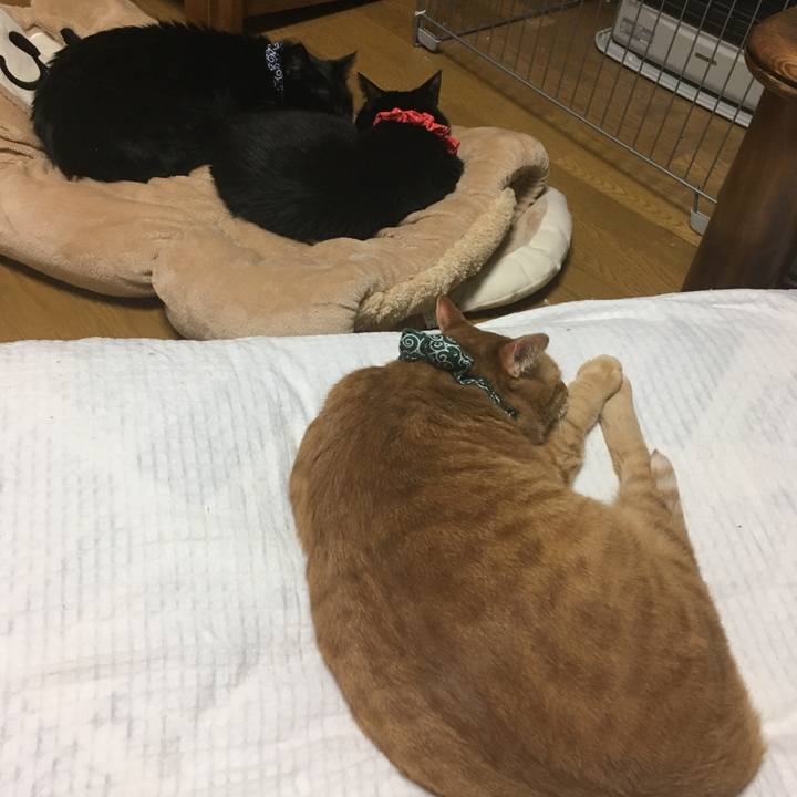 63d17d53 6151 419e af41 e91a61064cb8 1550323251095