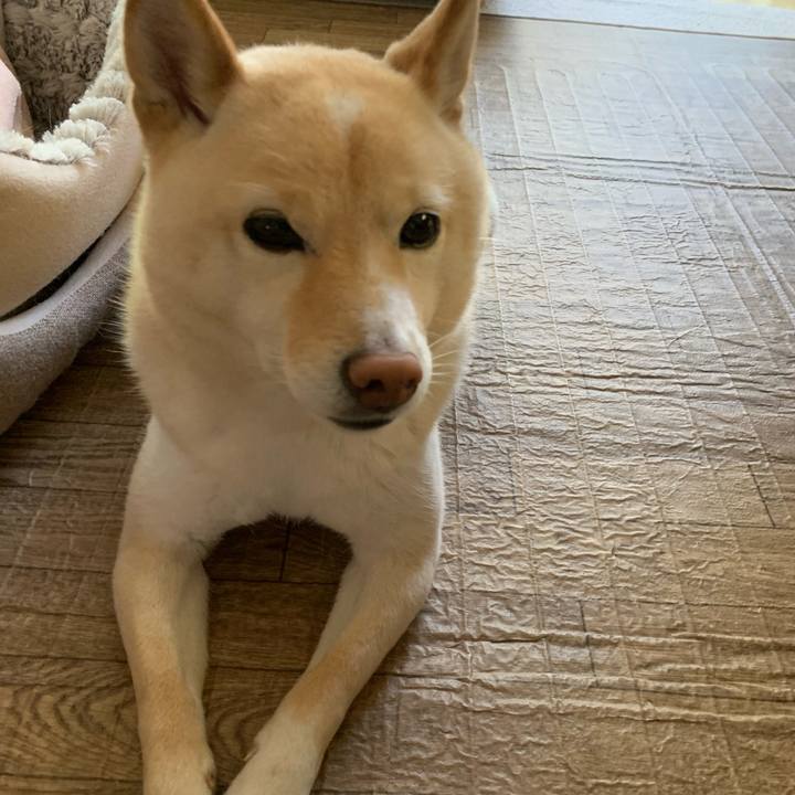 63d195dd 8f05 4742 b4da be45c4b1c069 1651960211628