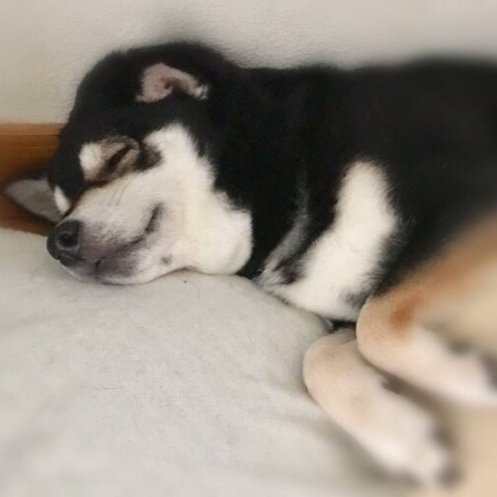 63d19b32 7161 42f7 8a9c 3b37be72cc8c 1557481576014