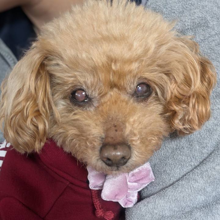 63d1c204 2026 4a90 a12a cc452f69bd55 1771720699731