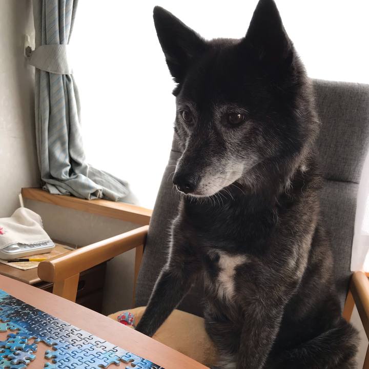 63d1cd91 c7e2 4232 8b0d c8a744e43b2f 1584687931344