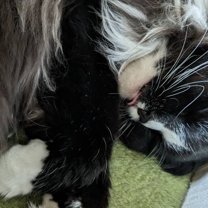 63d1e0ac c82a 4792 b2af d1c6d8896b60 1686633903361