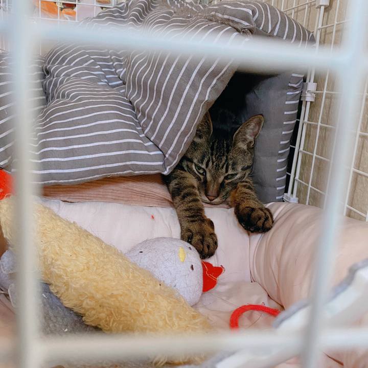 63d23f6b 20a2 4b4a bad0 f917e24d3688 1588225804215