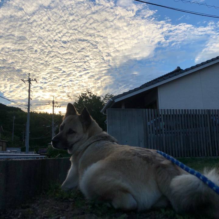 63d24601 81c6 493f 9b83 cb9b8eca75a2 1623929406857