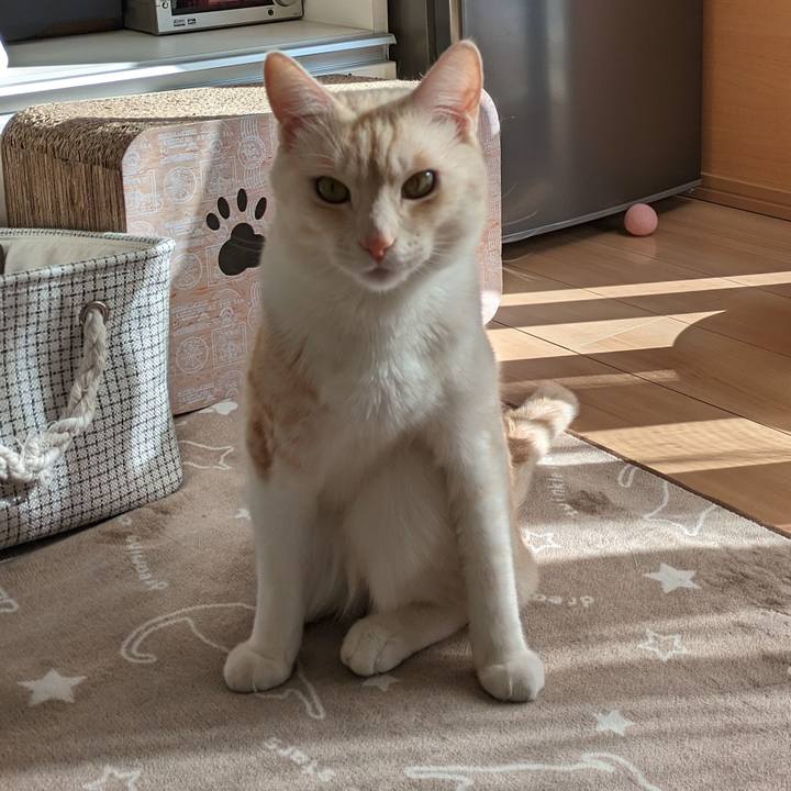 63d27b07 8afd 4047 b9c5 873b464fc473 1706245064614