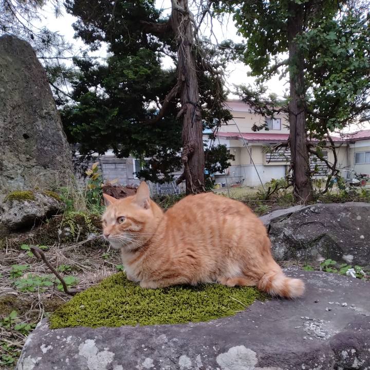 63d3034e c00e 4e52 9608 333c5c3d1fe2 1665734191962