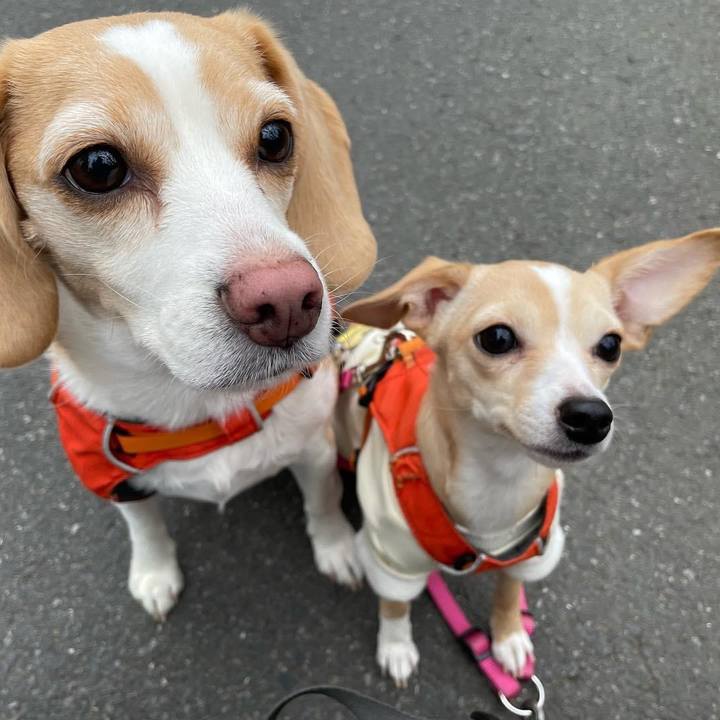 63d31749 84df 429c b73a f11072ca53a8 1678658903189