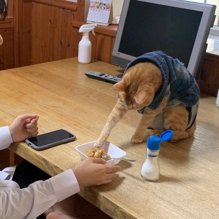 63d32b5e d7d6 4bd4 8cb6 8723e9e64ff0 1649369250493