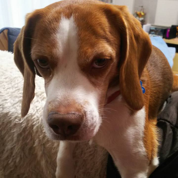 63d36b8b 7ecb 4008 bbd3 236d329dd9a3 1636010773381