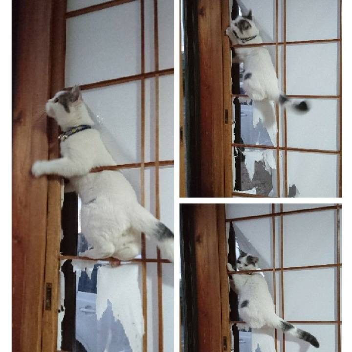 63d3adf3 101b 4558 9c56 20c2755ceb84 1548891253907