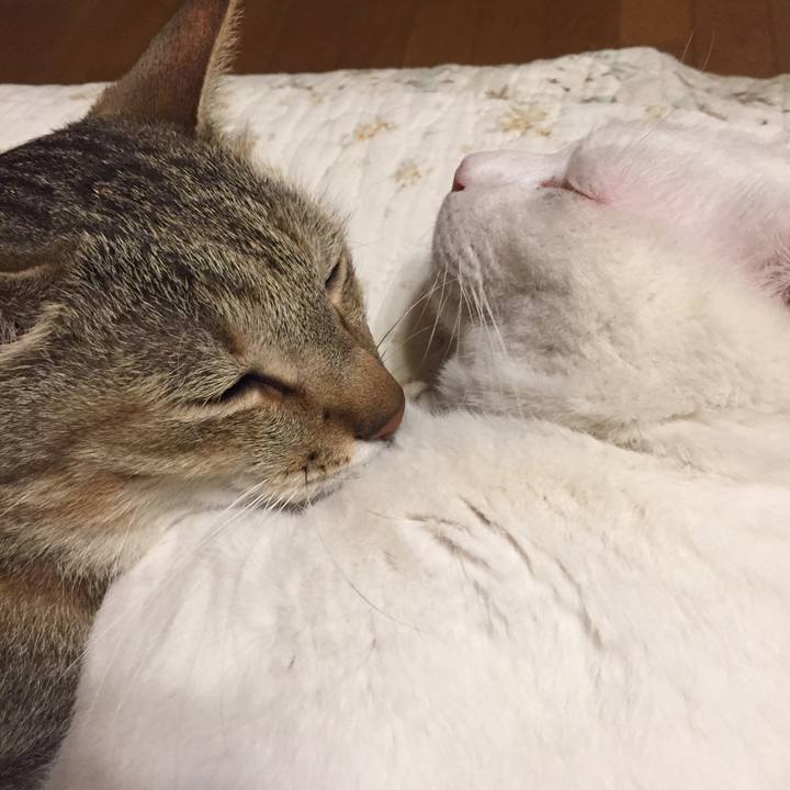 63d3b52a cbe9 4201 a4ae 2aec99d60da6 1560612779615