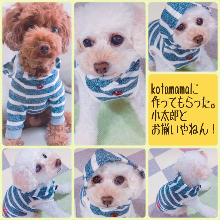 63d3bf44 3e82 46dc b573 206357e64425 1537311927455