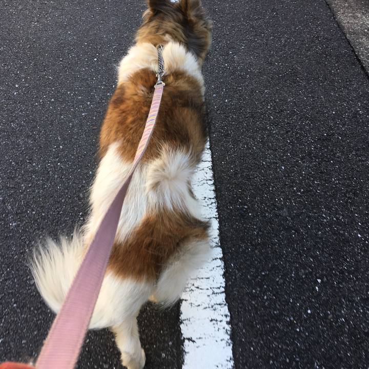 63d42924 f172 4316 998b 3aec2ec42d76 1509341433697