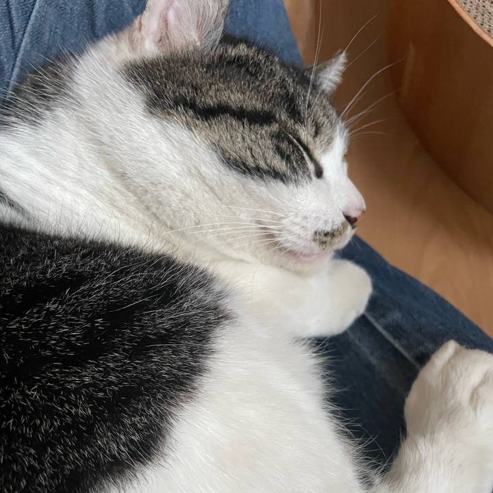 63d43b48 dbc1 46a6 9327 75222f60565a 1681563463040