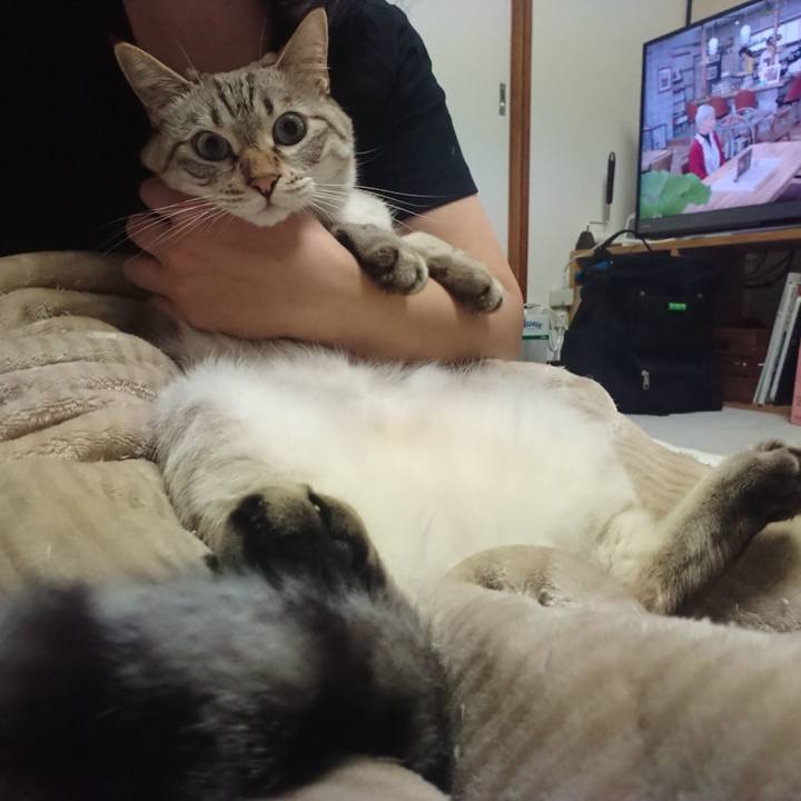 63d4568a 2e40 4b4b a93b a1580067f9f8 1572357862621