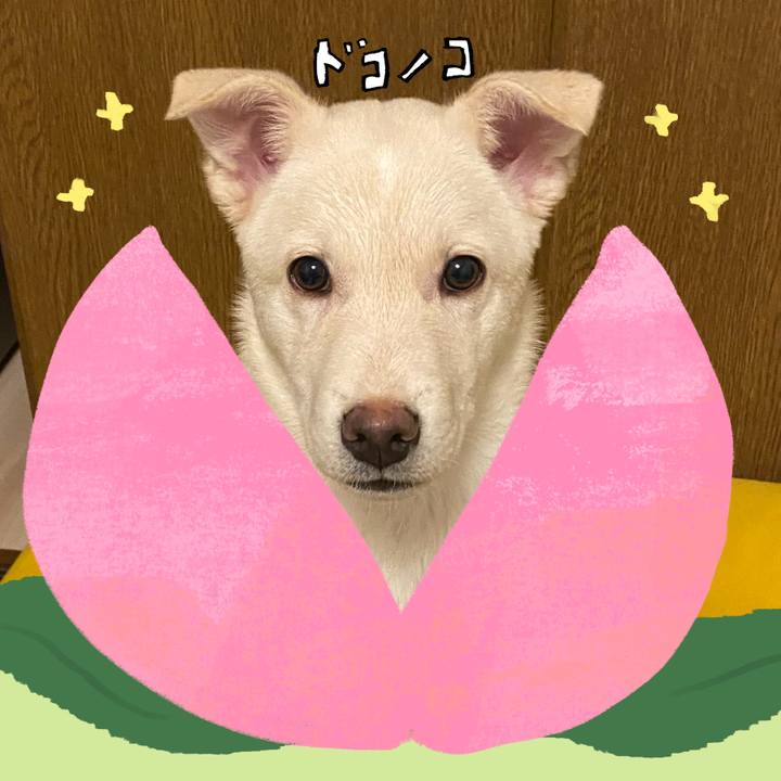 63d45c09 6ba3 4a3f 9f2a fdda46c5944f 1772149439077