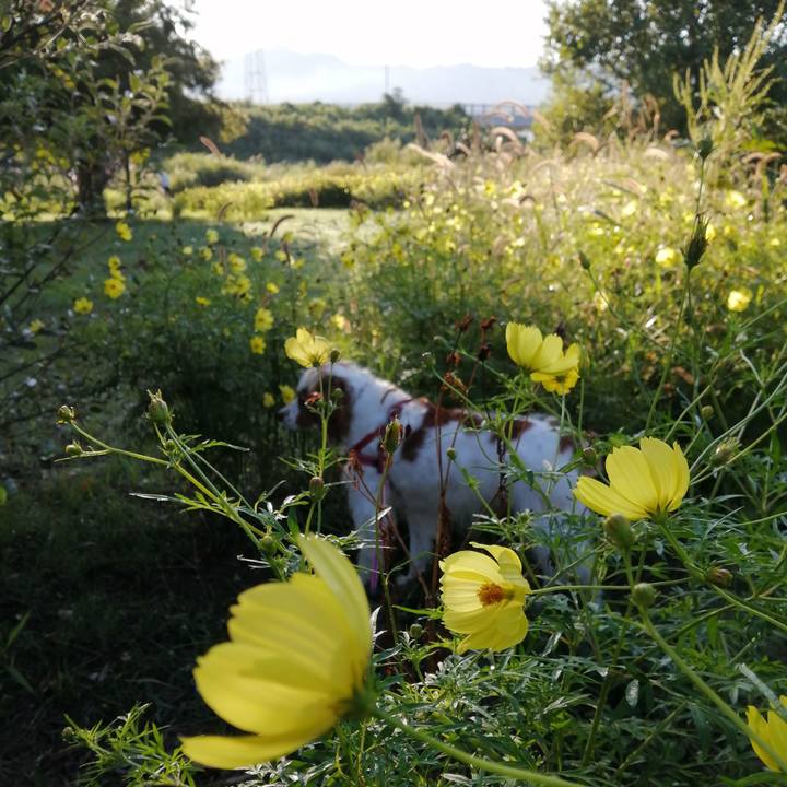 63d47843 5a00 4cbb a7ac 8a0251ba6283 1601511356645