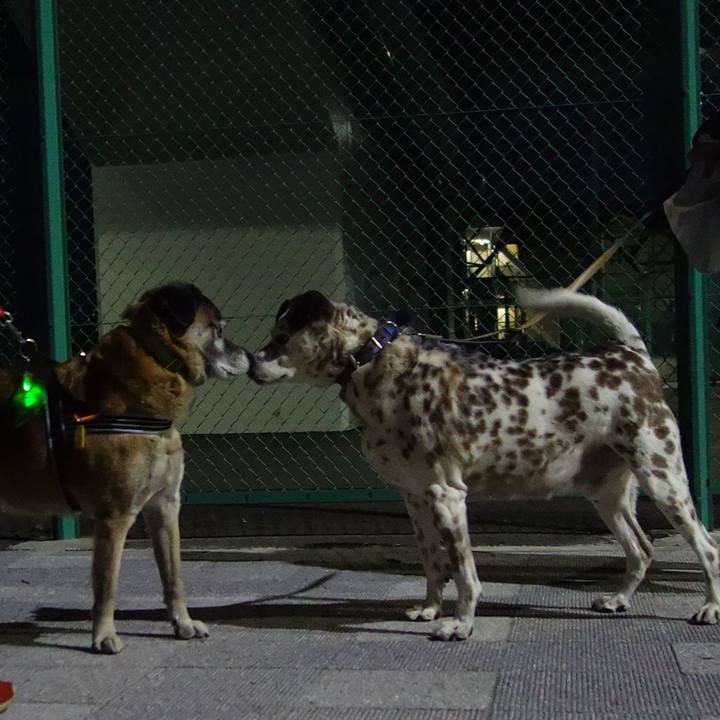 63d4ba60 cd6f 4e7e ae43 703607cfa2fa 1550407062802