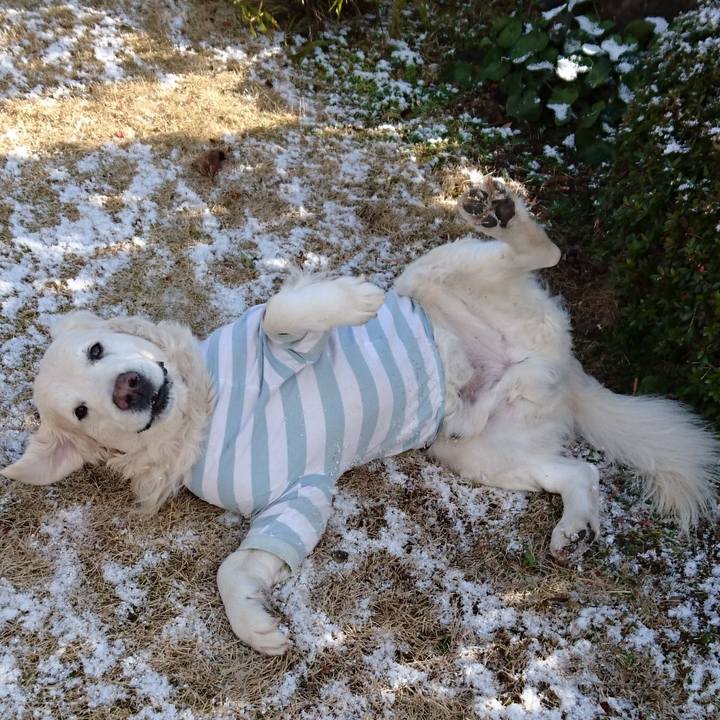 63d4d65e 4e5b 40c4 b514 bd6cb2aa44c1 1517889008614