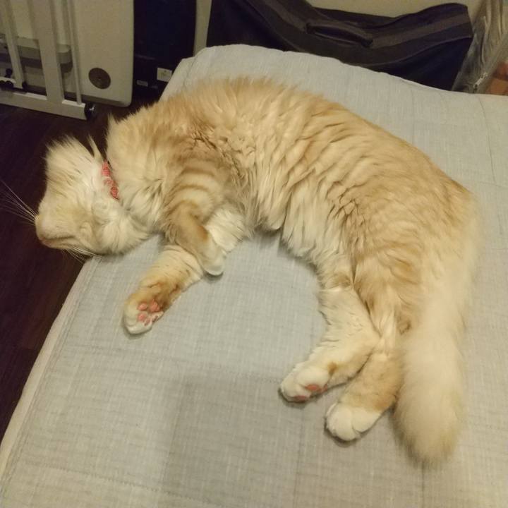 63d4d980 38ff 41d3 a6e2 2ea7085ade34 1624189694241